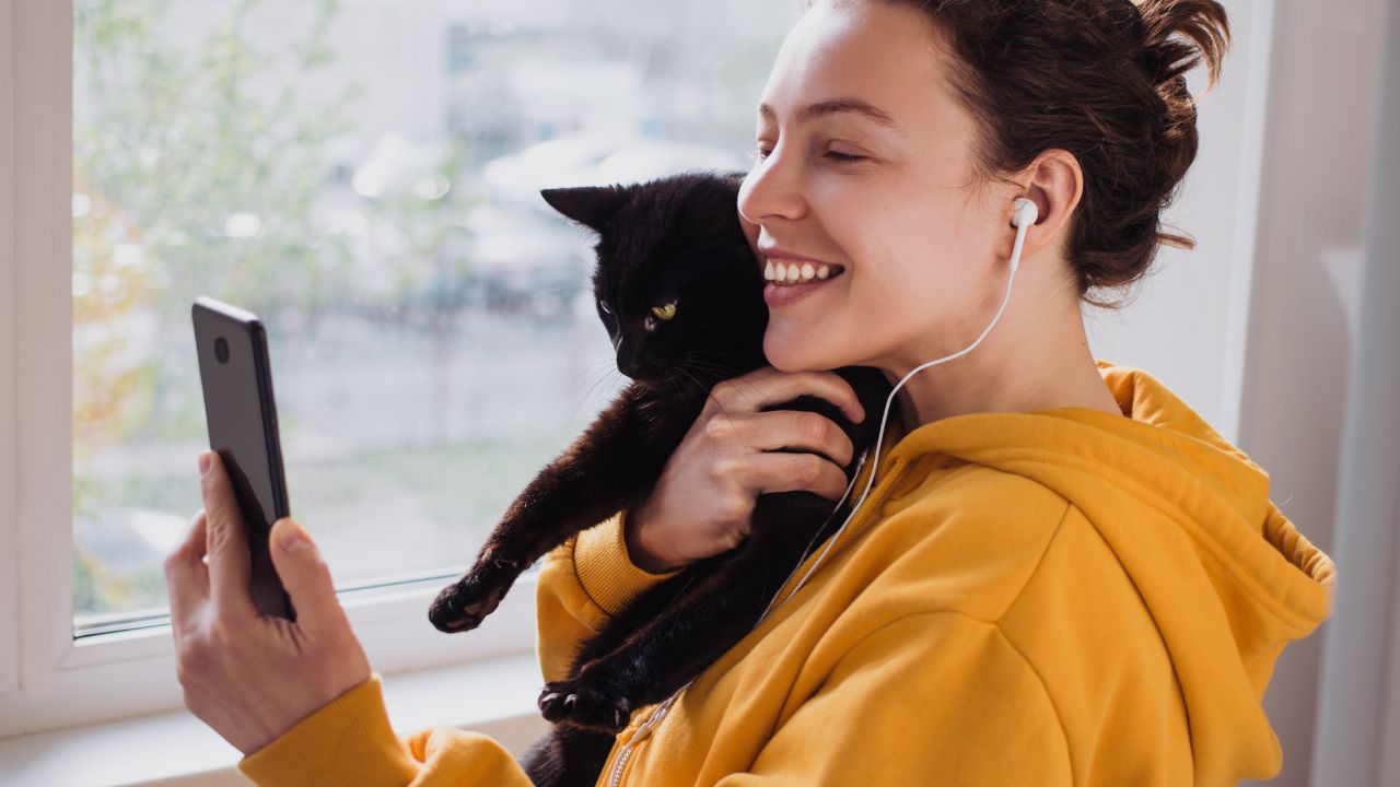 Para celebrar o Dia do Gato, separamos alguns perfis de gatinhos para você conferir nas redes sociais!