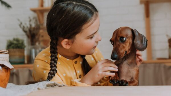 Cachorros e crianças: veja quais raças do pet escolher