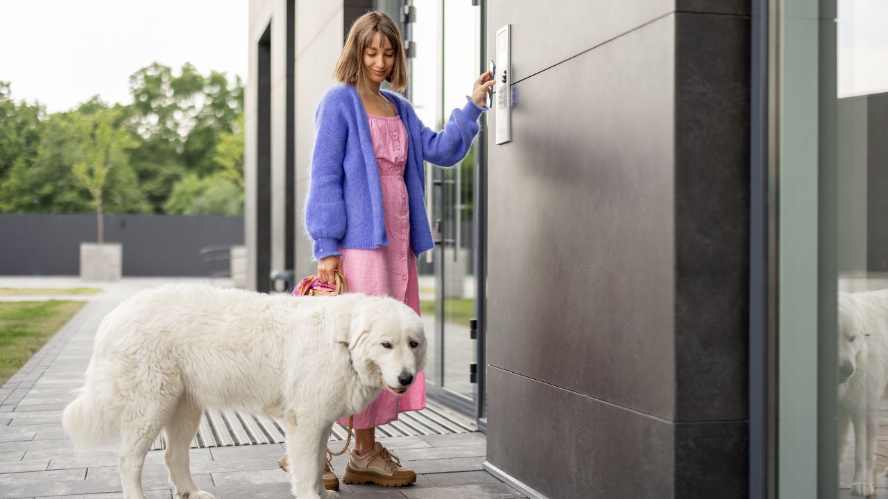 Entenda regra sobre cachorros em apartamento