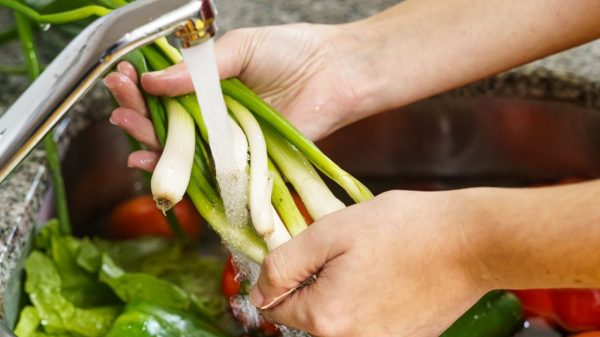 Saber como lavar vegetais bem é muito importante