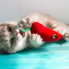 Veja alguns dos melhores brinquedos para gatos