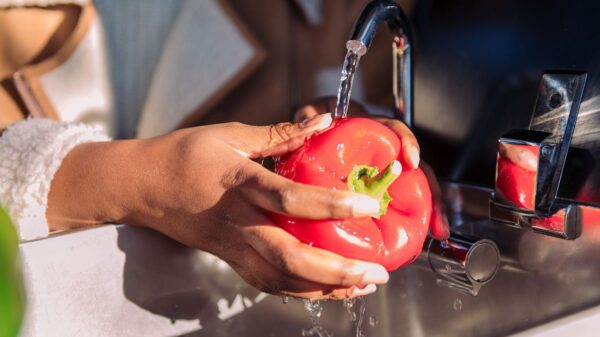 Higienização correta dos alimentos é primordial para evitar a intoxicação alimentar e garantir a saúde e o bem-estar