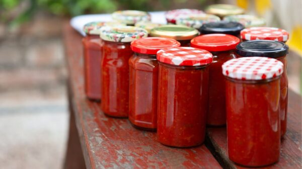 Saiba como melhorar o molho de tomate pronto