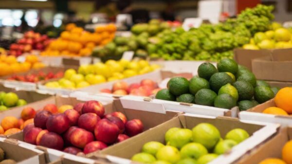 Saiba como escolher legumes e verduras corretamente