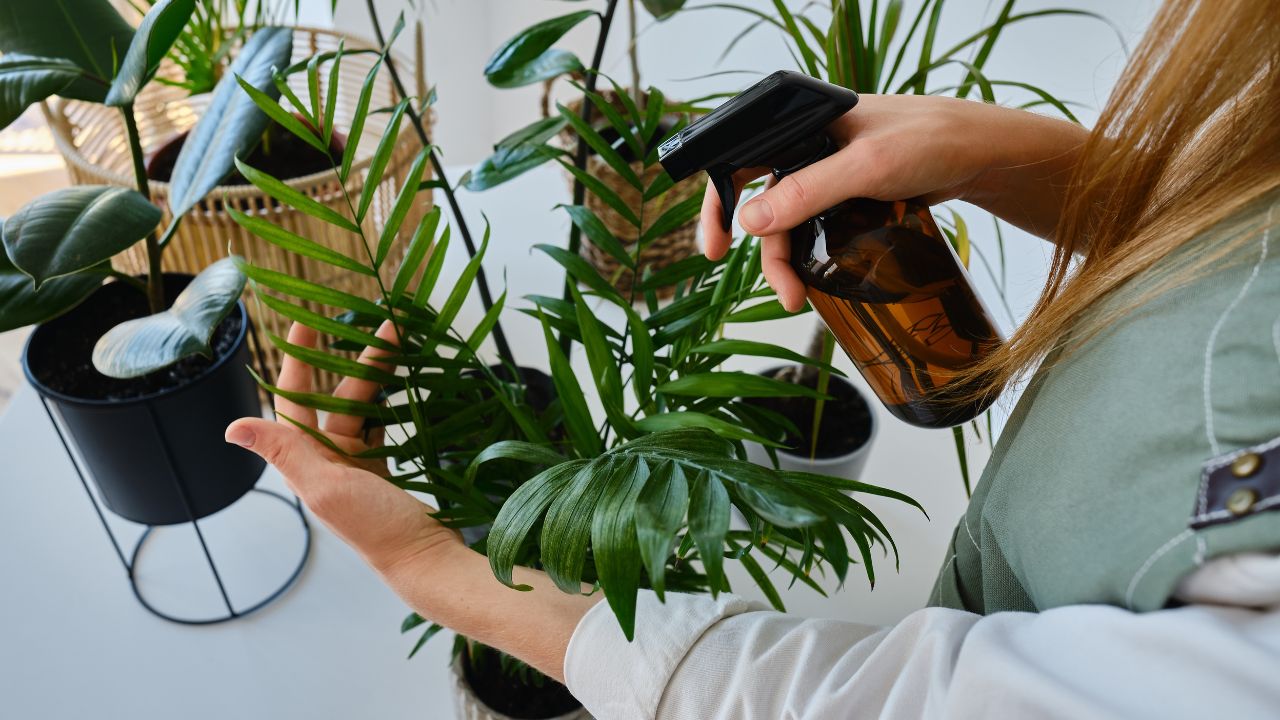 Aprenda como cultivar um cantinho verde para garantir uma casa mais fresquinha e com qualidade do ar um pouco melhor