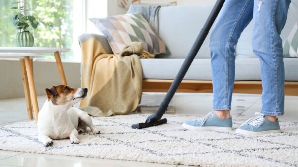 Veja dicas para fazer limpeza de casa com pets