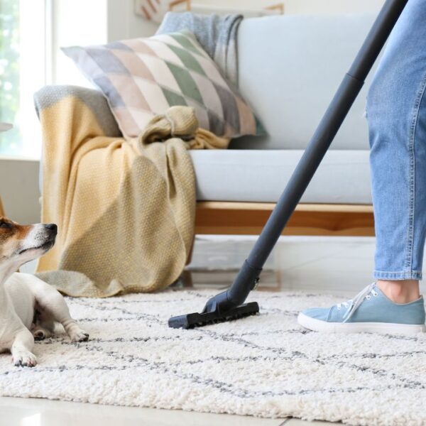 Veja dicas para fazer limpeza de casa com pets