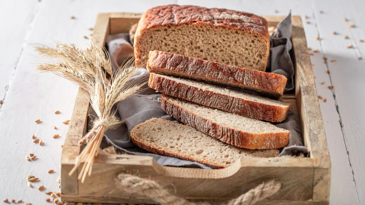 Confira o passo a passo para preparar receitas de pão sem glúten e sem lactose de forma fácil e simples!