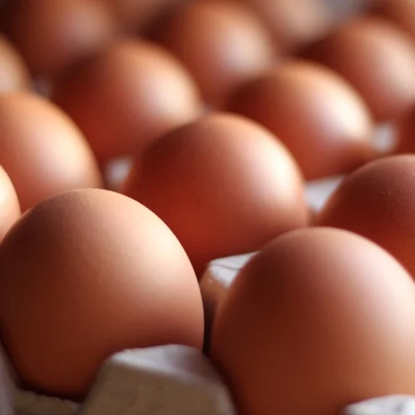 Entenda se a dieta dos ovos pode ser boa para a saúde