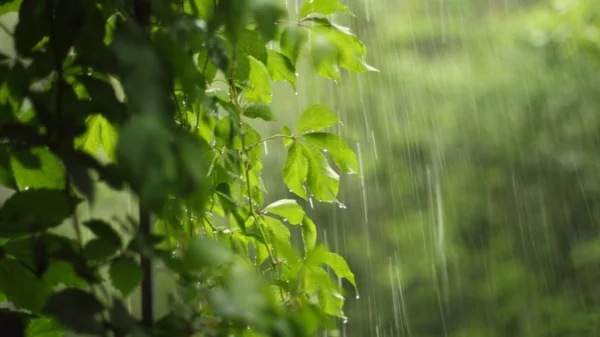 Veja como se proteger das chuvas de verão