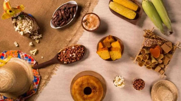 Médica-veterinária orienta como incluir seu pet na festa junina de forma segura para a sua saúde e bem-estar