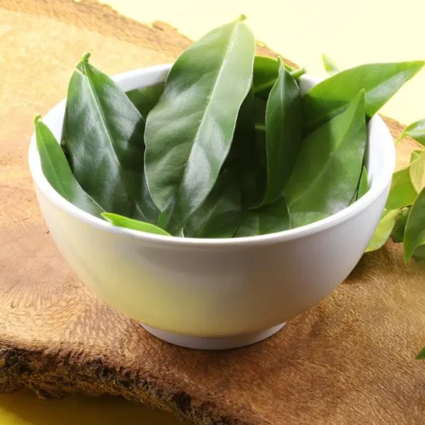 As PANCs, plantas alimentícias não convencionais, são alternativa para diversificar o cardápio. Veja os cuidados para cultivar em casa