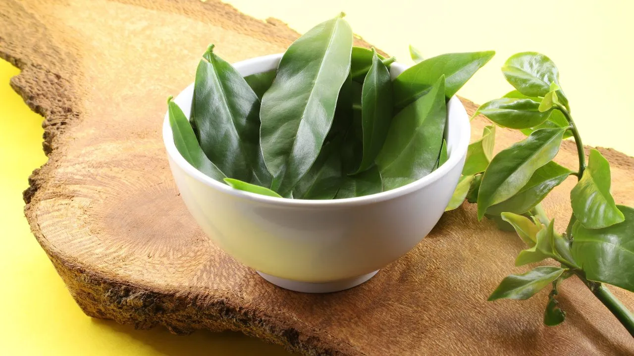 As PANCs, plantas alimentícias não convencionais, são alternativa para diversificar o cardápio. Veja os cuidados para cultivar em casa