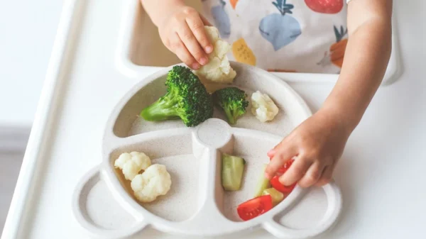 Nutricionista alerta para os riscos alimentares comuns durante as férias escolares e dá dicas para manter o equilíbrio nutricional das crianças