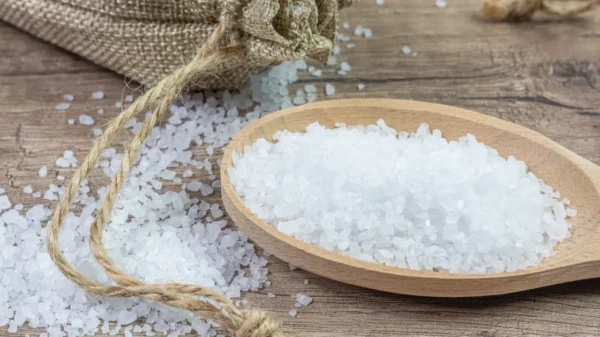 Confira algumas alternativas para reduzir o consumo de sal nas receitas e ter uma alimentação mais equilibrada
