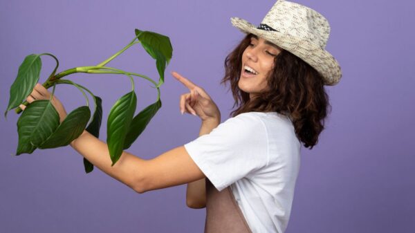 mulher cuidando das plantas