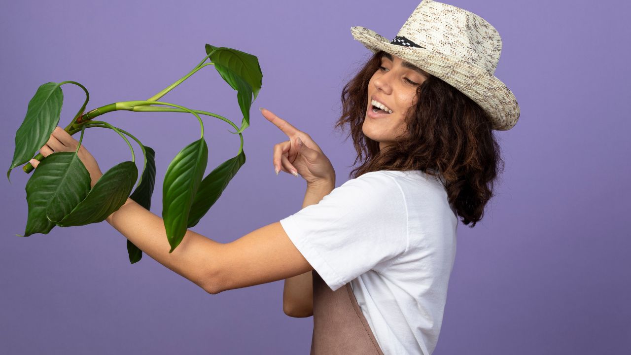 mulher cuidando das plantas